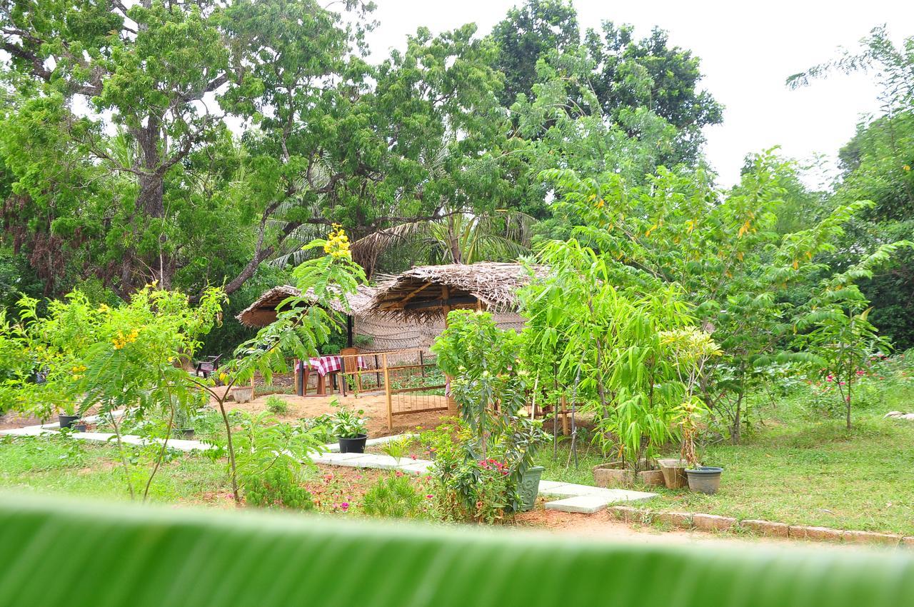 Sigiriya Amenity Home Stay Exterior foto