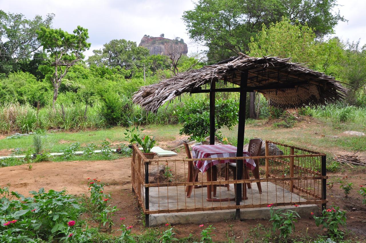 Sigiriya Amenity Home Stay Exterior foto