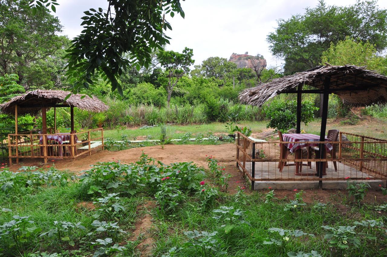 Sigiriya Amenity Home Stay Exterior foto