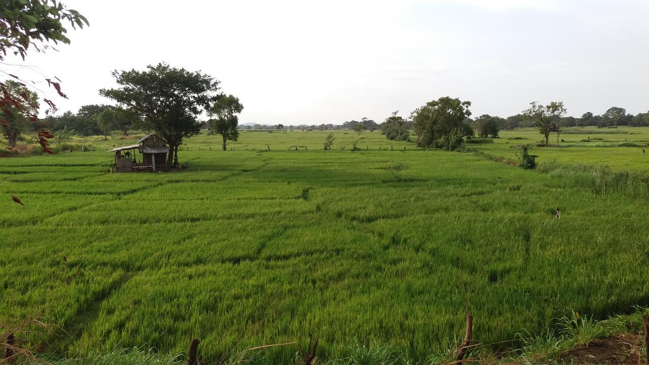 Sigiriya Amenity Home Stay Exterior foto